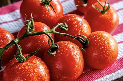 Tomatoes representing lycopene